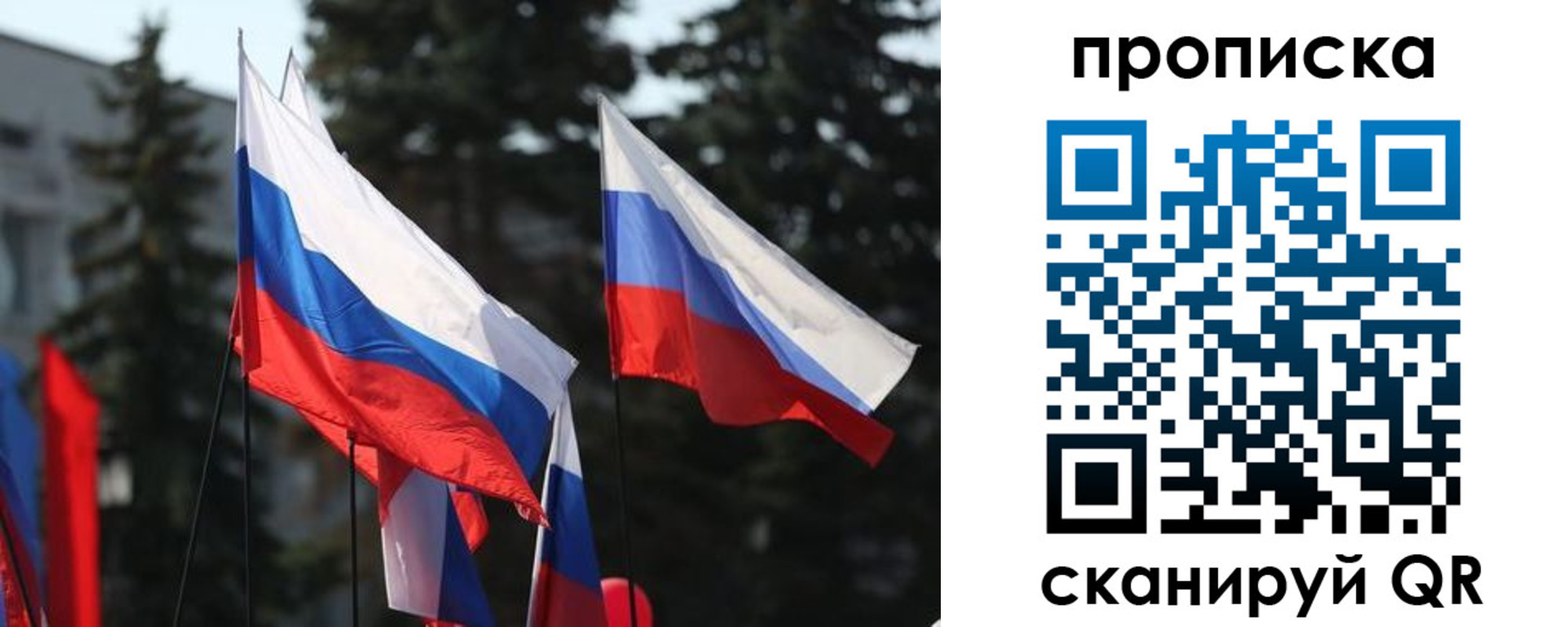 прописка законно в Кировске
